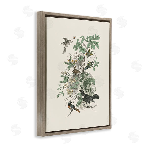 Stupell Industries Wild Apple Portfolio | Various Birds In Vintage Nature