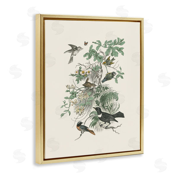 Stupell Industries Wild Apple Portfolio | Various Birds In Vintage Nature