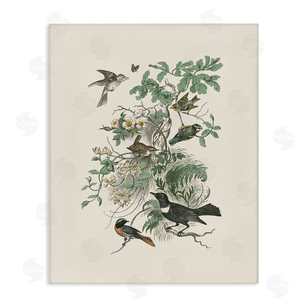 stupell industries Wild Apple Portfolio | Various Birds in Vintage Nature