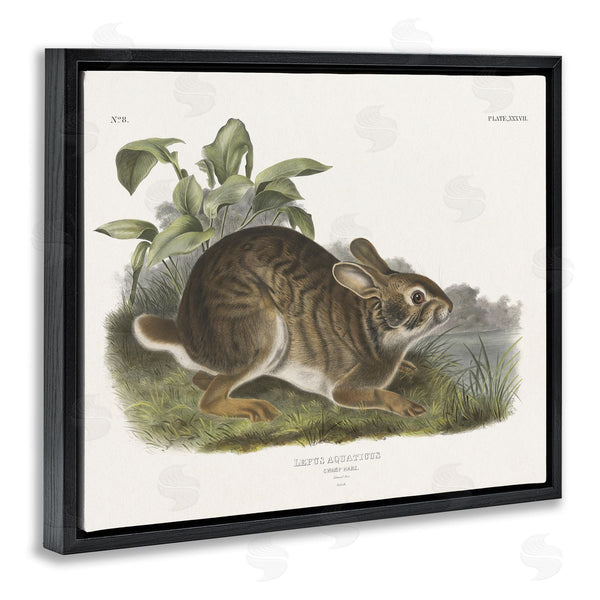 Stupell Industries Wild Apple Portfolio | Vintage Cottage Hare