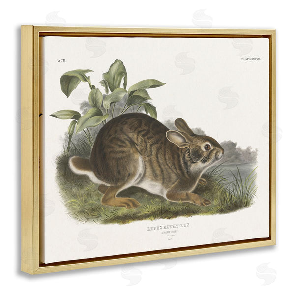 Stupell Industries Wild Apple Portfolio | Vintage Cottage Hare