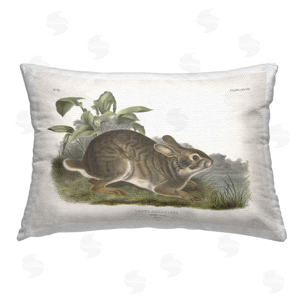 Stupell Industries Wild Apple Portfolio | Vintage Cottage Hare