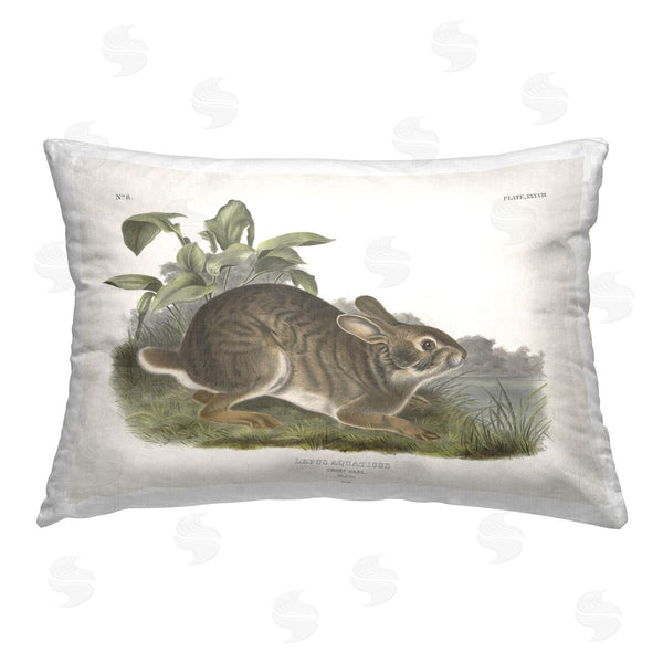 stupell industries Wild Apple Portfolio | Vintage Cottage Hare