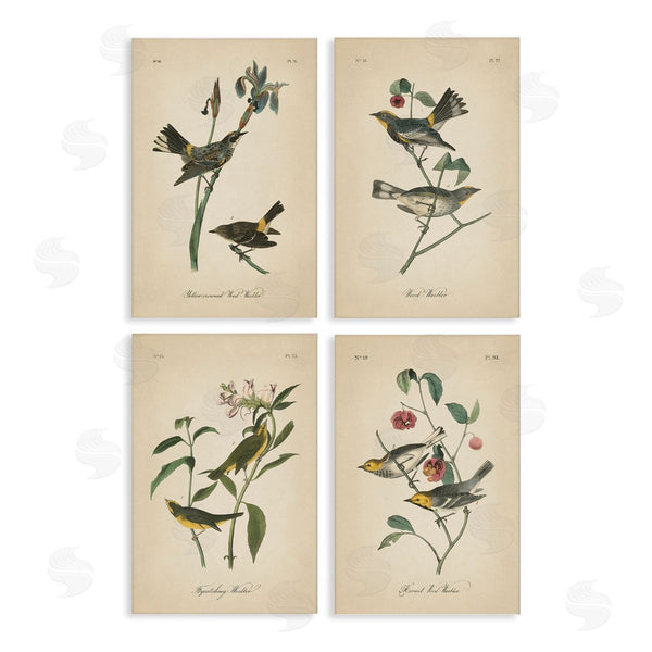 stupell industries Wild Apple Portfolio | Vintage Study Birds & Plants Wall Art
