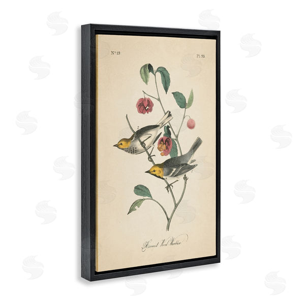 Stupell Industries Wild Apple Portfolio | Vintage Warbler And Plants