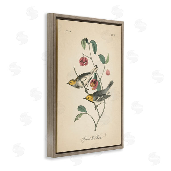 Stupell Industries Wild Apple Portfolio | Vintage Warbler And Plants