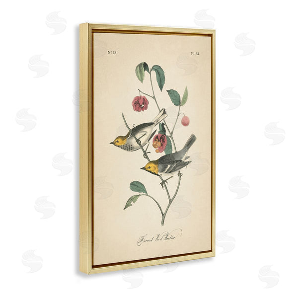 Stupell Industries Wild Apple Portfolio | Vintage Warbler And Plants