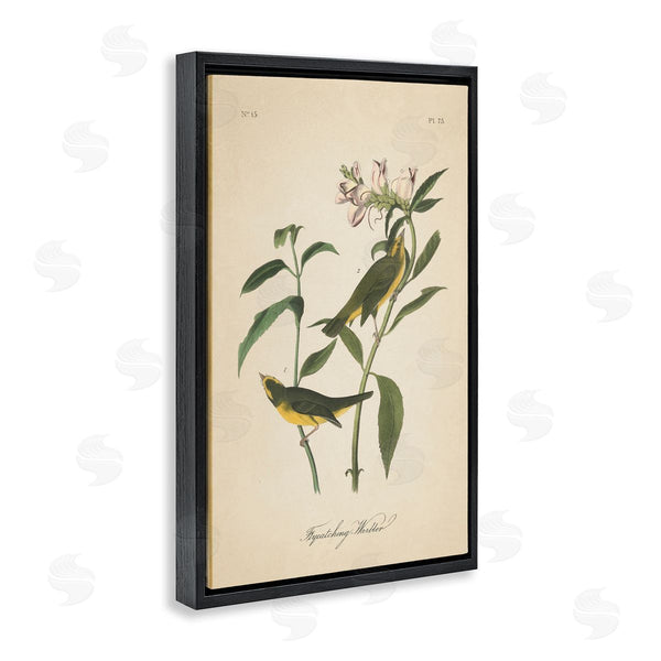 Stupell Industries Wild Apple Portfolio | Vintage Warbler Diagram