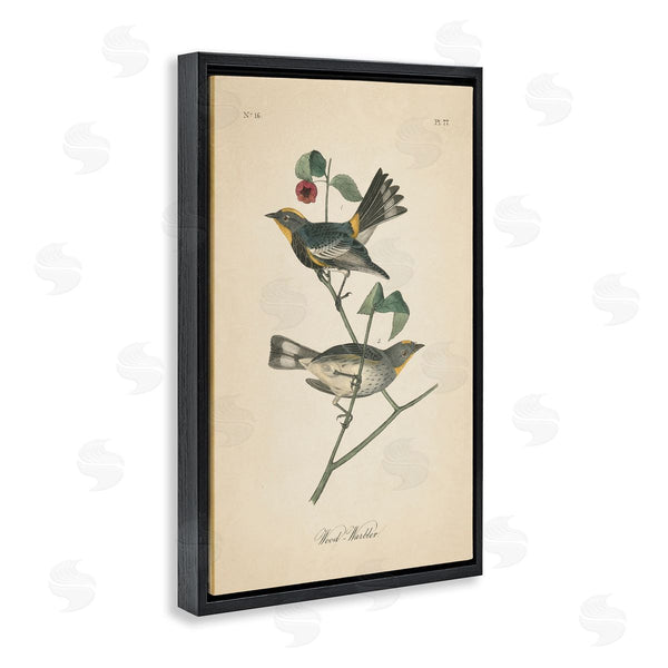 Stupell Industries Wild Apple Portfolio | Vintage Warbler Page