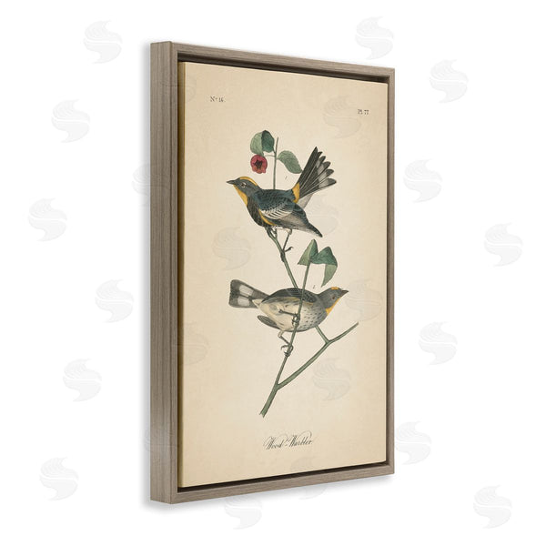 Stupell Industries Wild Apple Portfolio | Vintage Warbler Page