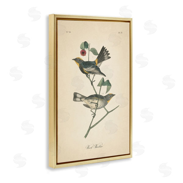 Stupell Industries Wild Apple Portfolio | Vintage Warbler Page
