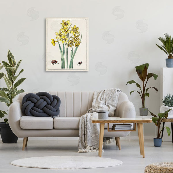 Stupell Industries World Art Group | Beetles With Daffodils Wall Art