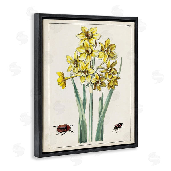 Stupell Industries World Art Group | Beetles With Daffodils Wall Art