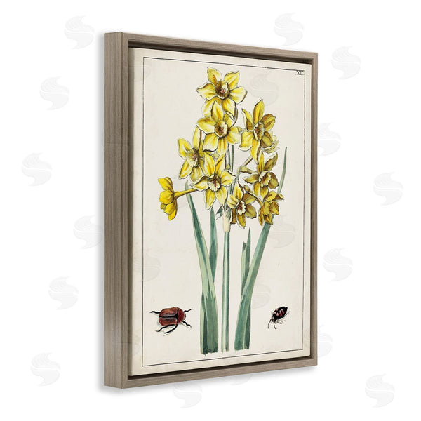 Stupell Industries World Art Group | Beetles With Daffodils Wall Art