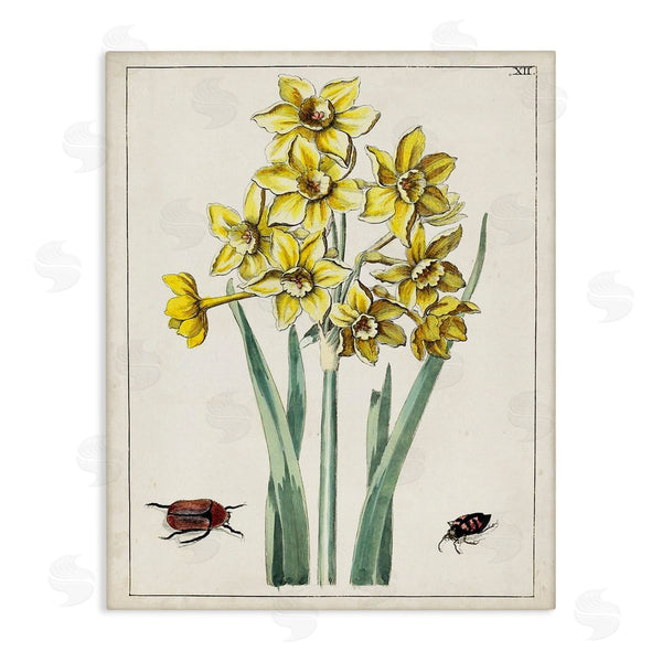 stupell industries World Art Group | Beetles with Daffodils Wall Art