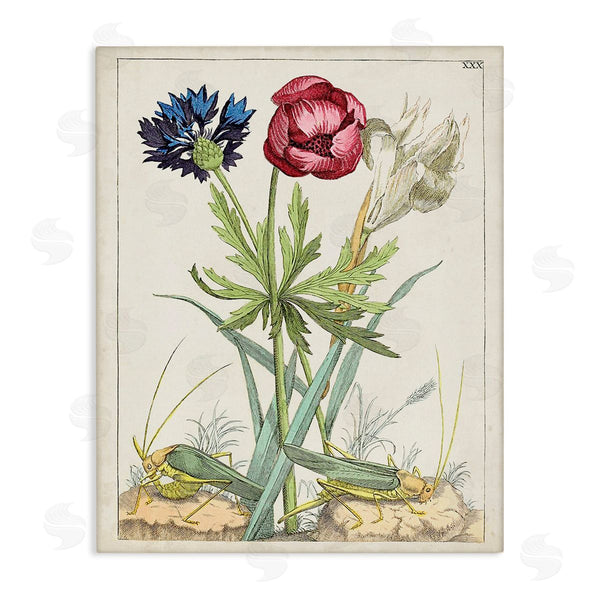 stupell industries World Art Group | Blooming Bulbs & Grasshoppers Wall Art