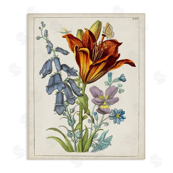 stupell industries World Art Group | Bugs & Vintage Flowers Wall Art