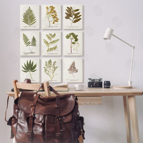 Stupell Industries World Art Group | Delicate Pressed Botanicals Vintage Study Wall Art