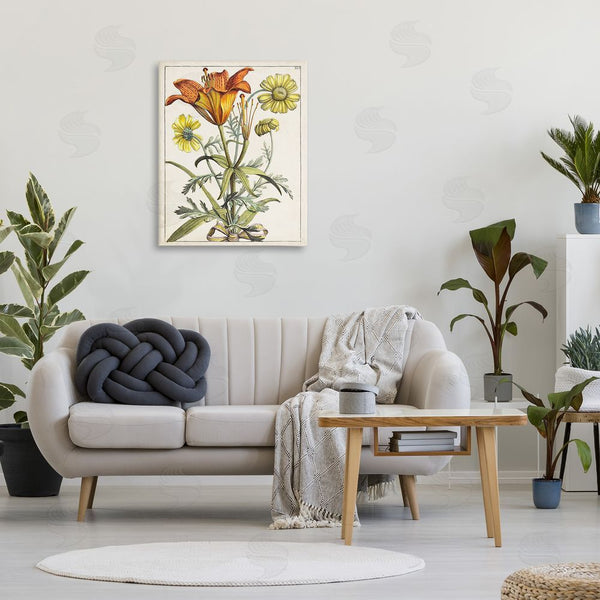 Stupell Industries World Art Group | Flowers Latin Study Wall Art