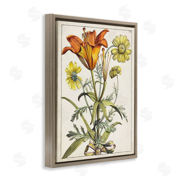 Stupell Industries World Art Group | Flowers Latin Study Wall Art