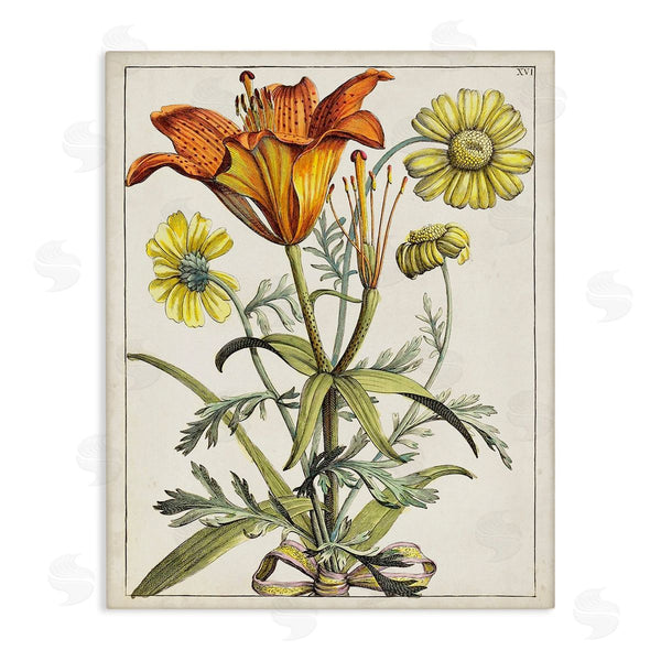 stupell industries World Art Group | Flowers Latin Study Wall Art