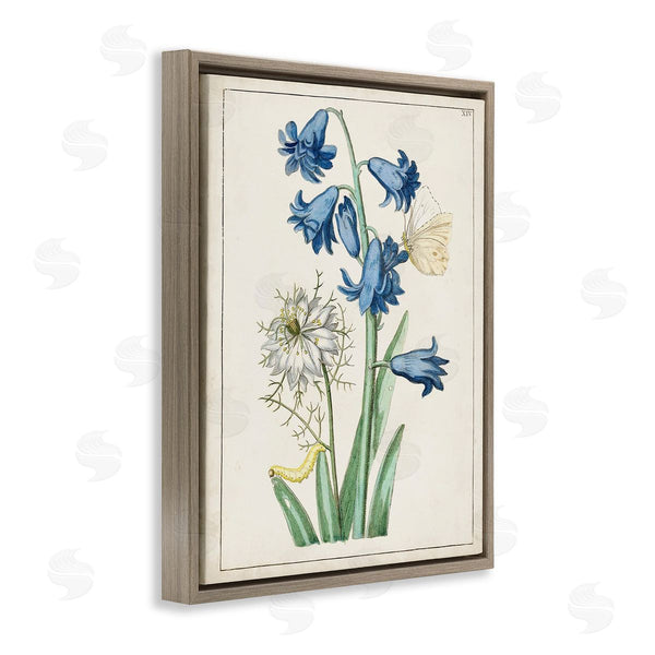 Stupell Industries World Art Group | Nature Bulbs With Moth Wall Art
