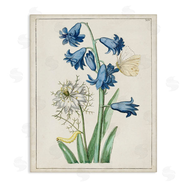 stupell industries World Art Group | Nature Bulbs with Moth Wall Art