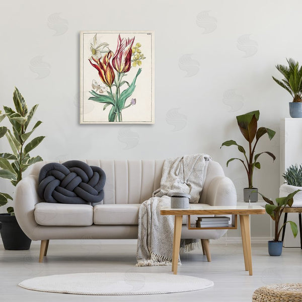 Stupell Industries World Art Group | Tulips & Moths Study Wall Art