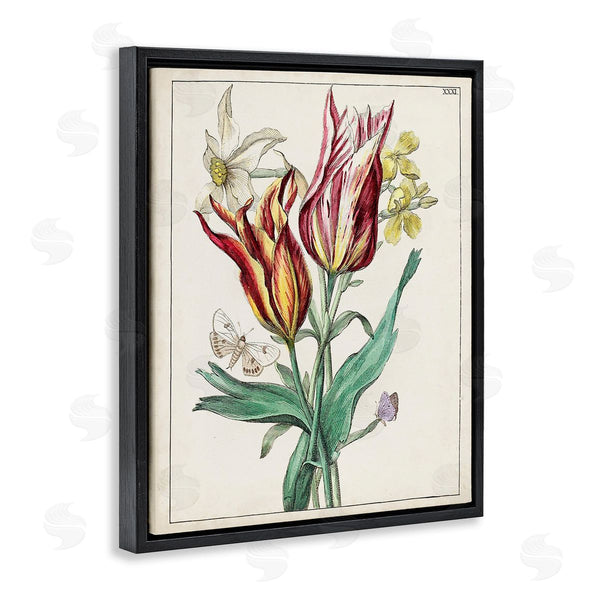 Stupell Industries World Art Group | Tulips & Moths Study Wall Art