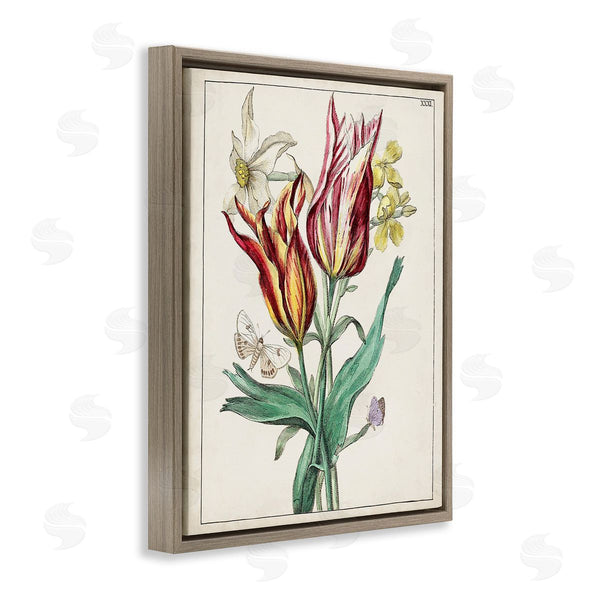 Stupell Industries World Art Group | Tulips & Moths Study Wall Art