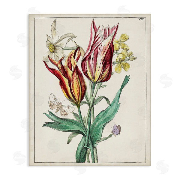 stupell industries World Art Group | Tulips & Moths Study Wall Art