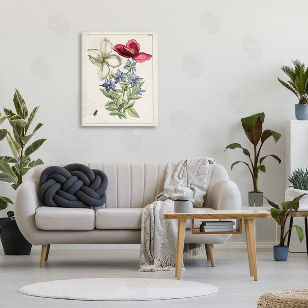 Stupell Industries World Art Group | Vintage Beetle & Flowers Wall Art