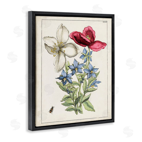 Stupell Industries World Art Group | Vintage Beetle & Flowers Wall Art