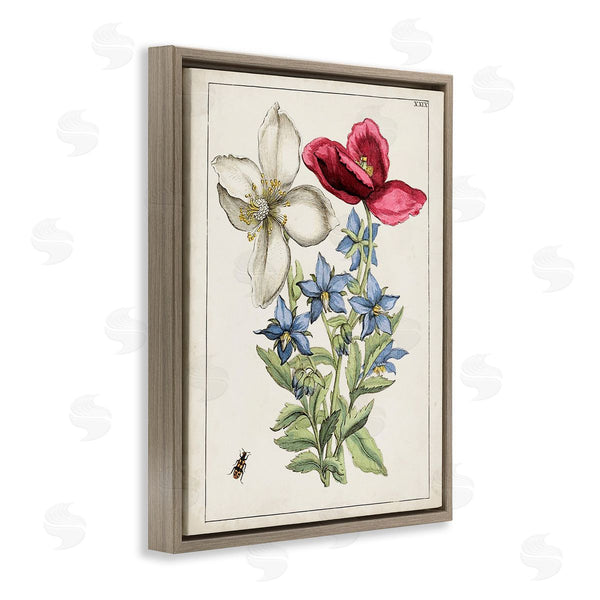 Stupell Industries World Art Group | Vintage Beetle & Flowers Wall Art