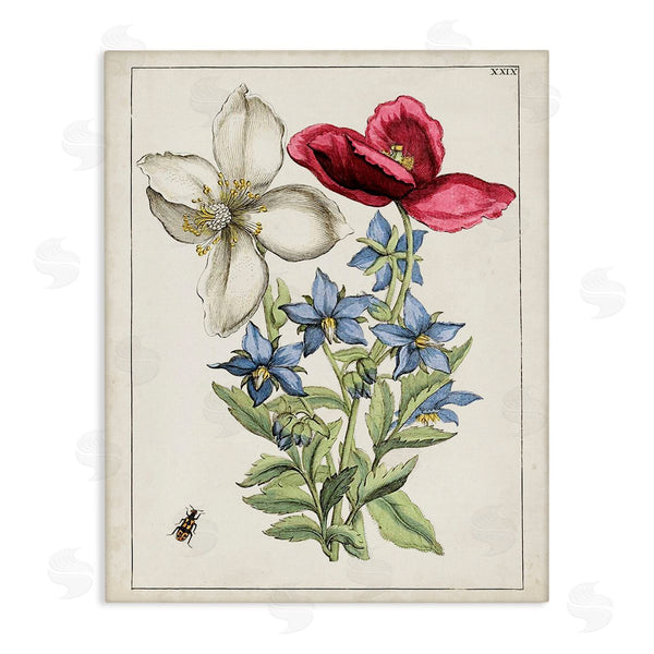 stupell industries World Art Group | Vintage Beetle & Flowers Wall Art