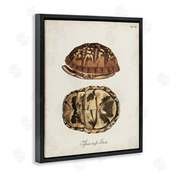 Stupell Industries World Art Group | Vintage Box Turtle Shell