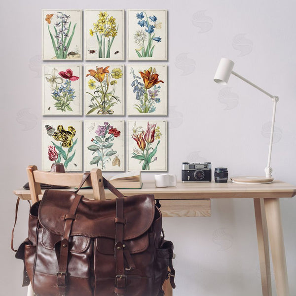 Stupell Industries World Art Group | Vintage Bugs & Flowers Wall Art