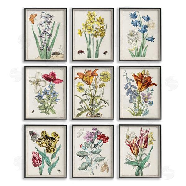 Stupell Industries World Art Group | Vintage Bugs & Flowers Wall Art