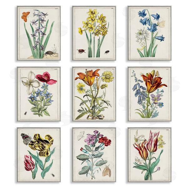 Stupell Industries World Art Group | Vintage Bugs & Flowers Wall Art