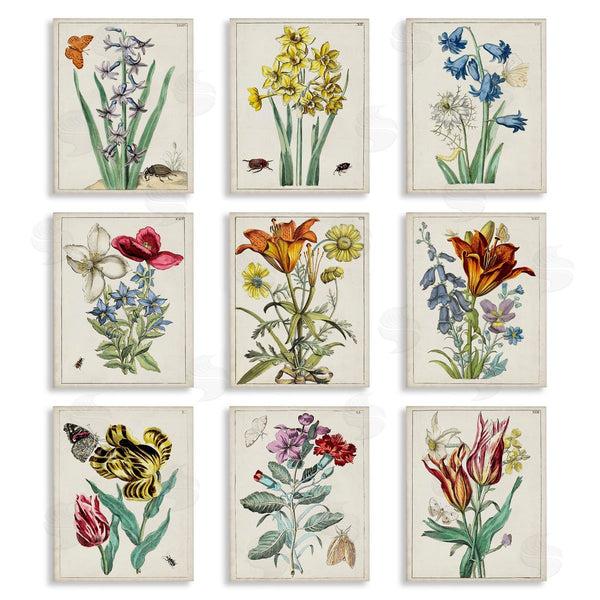 stupell industries World Art Group | Vintage Bugs & Flowers Wall Art