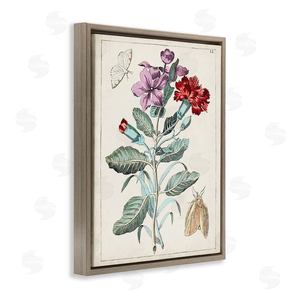 Stupell Industries World Art Group | Vintage Moths With Flowers Wall Art
