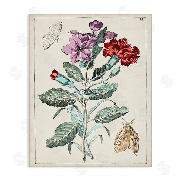 stupell industries World Art Group | Vintage Moths with Flowers Wall Art