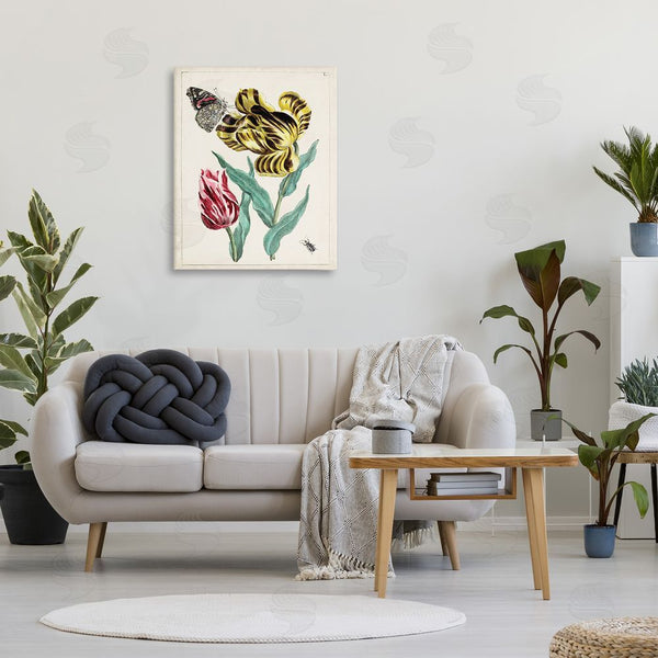 Stupell Industries World Art Group | Vintage Nature & Bugs Wall Art