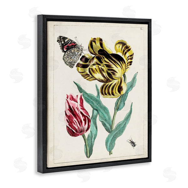 Stupell Industries World Art Group | Vintage Nature & Bugs Wall Art