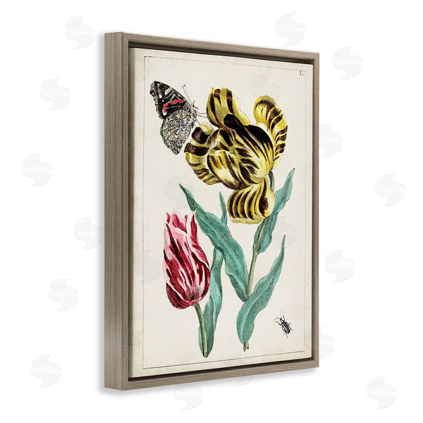 Stupell Industries World Art Group | Vintage Nature & Bugs Wall Art