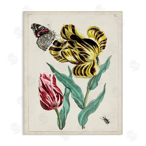 stupell industries World Art Group | Vintage Nature & Bugs Wall Art