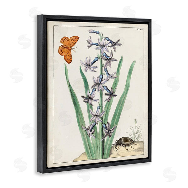 Stupell Industries World Art Group | Vintage Plant & Beetle Wall Art