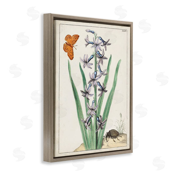 Stupell Industries World Art Group | Vintage Plant & Beetle Wall Art