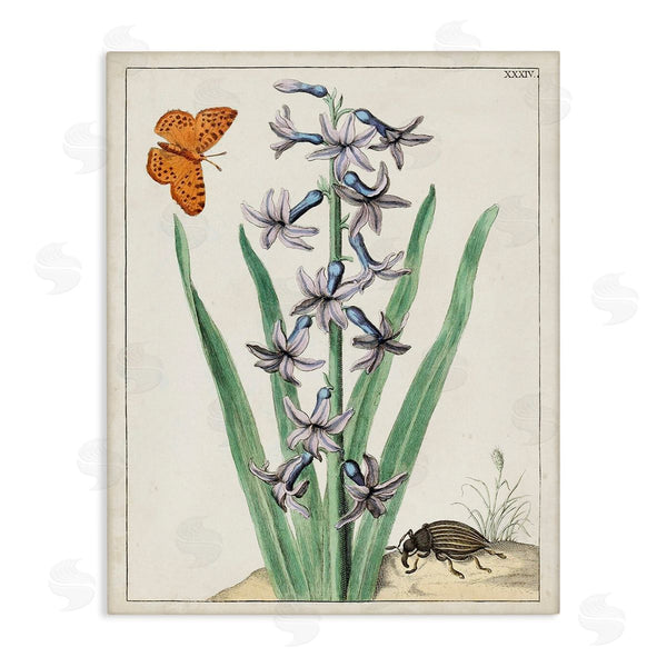 stupell industries World Art Group | Vintage Plant & Beetle Wall Art