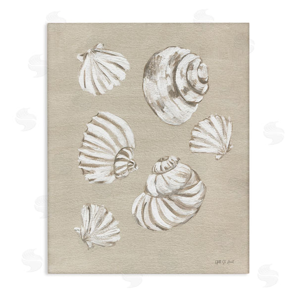 stupell industries Yvette St. Amant | Beach Shell Treasures